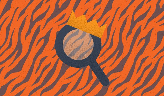 illustration of magnifying glass on tiger wallpaper