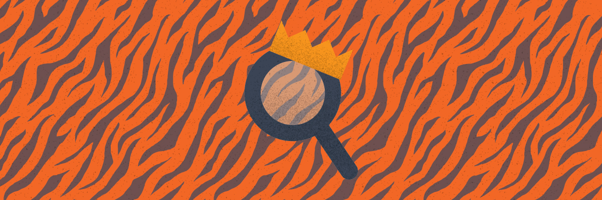 illustration of magnifying glass on tiger wallpaper