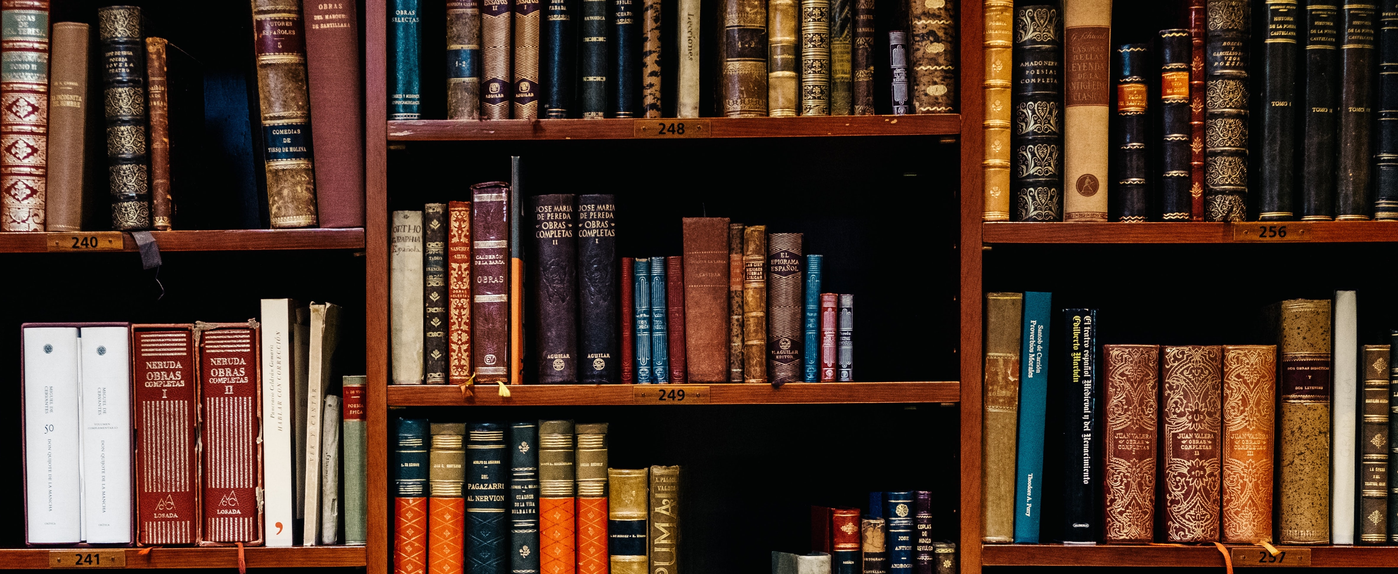 library books on shelves